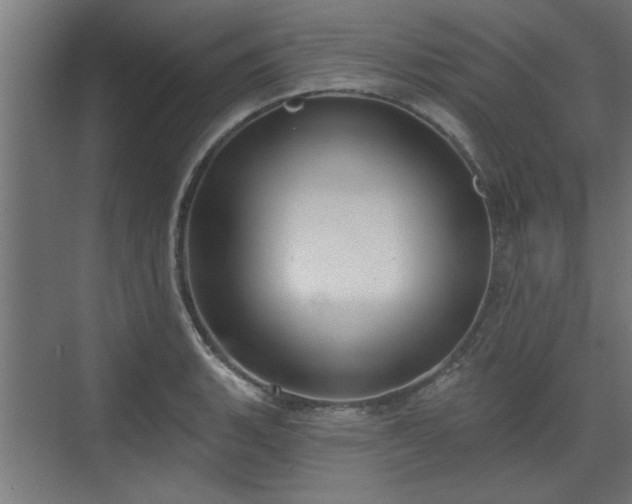 X0000072511135200607211350