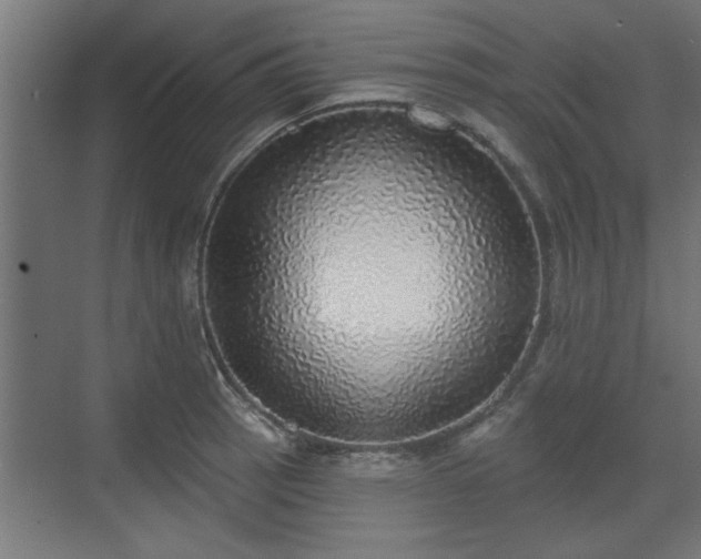 X0000072511137200607211350