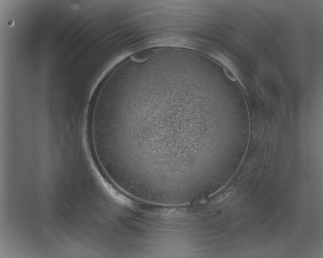 X0000072511139200607211350