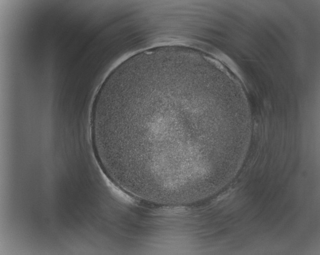 X0000072511143200607211351