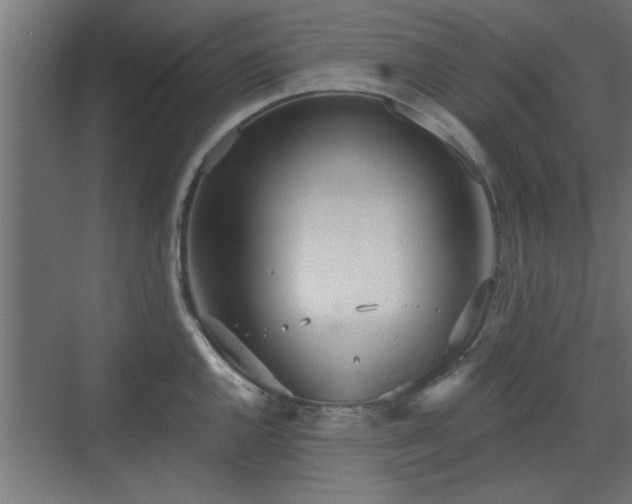 X0000072511144200607211351