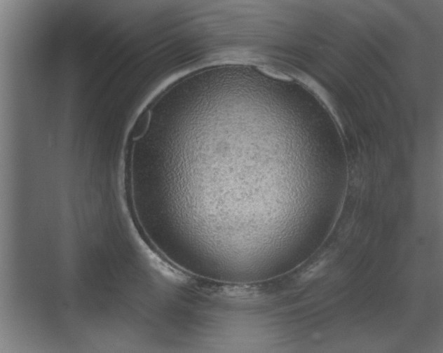 X0000072511147200607211351