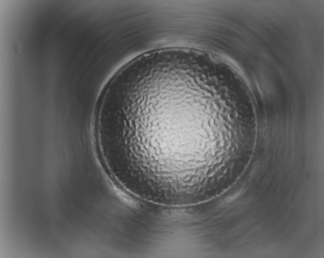 X0000072511149200607211351