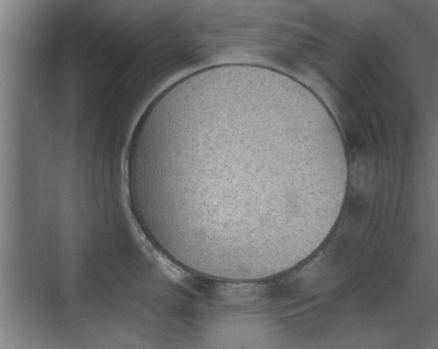 X0000072511150200607211351