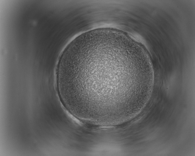 X0000072511151200607211351