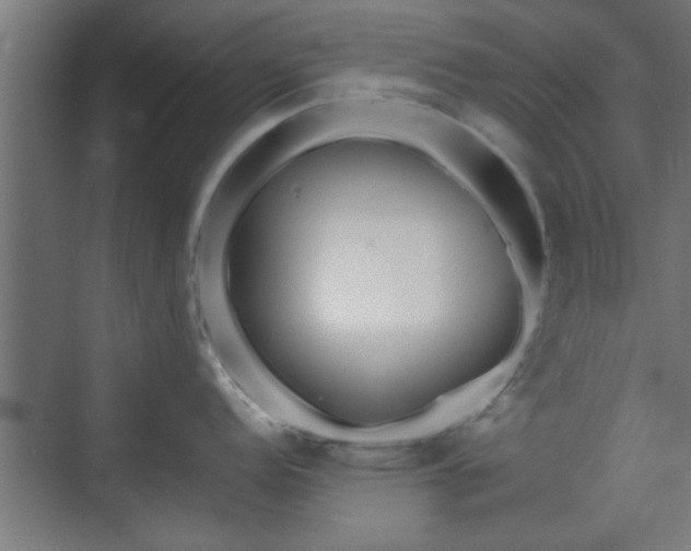 X0000072511152200607211351