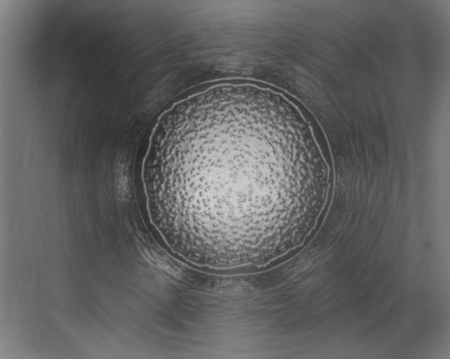 X0000072511154200607211350