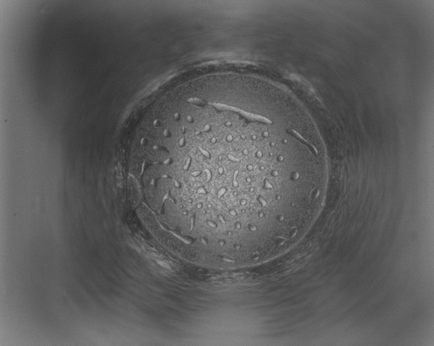 X0000072511159200607211350