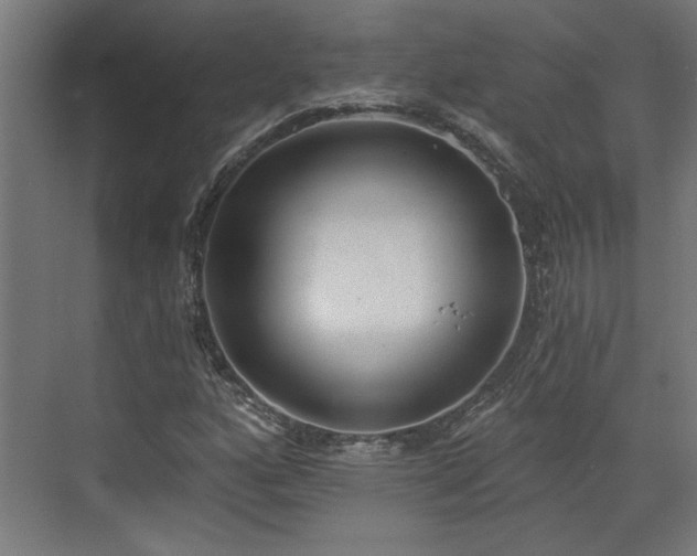 X0000072511160200607211350