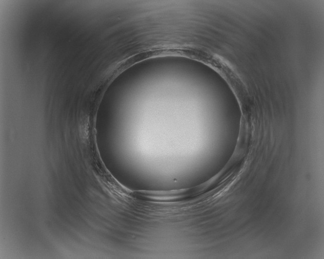 X0000072511161200607211350