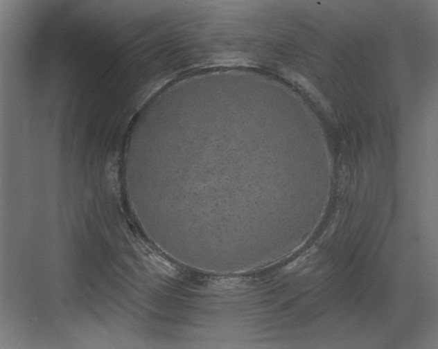 X0000072511162200607211350