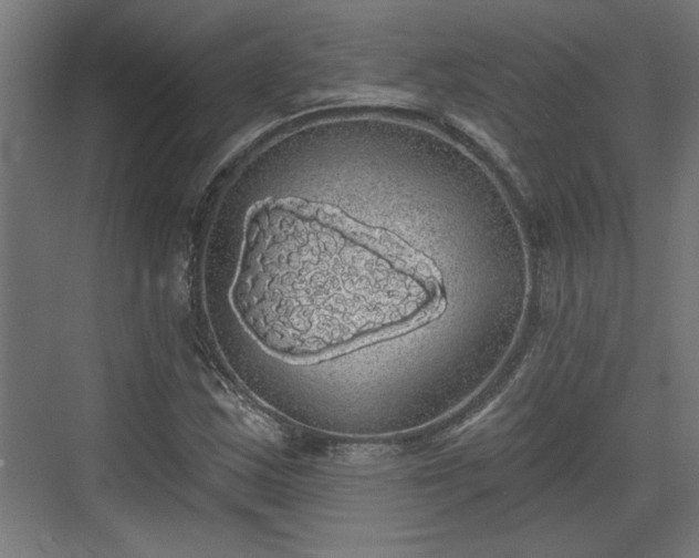 X0000072511163200607211350