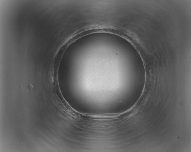 X0000072511165200607211350