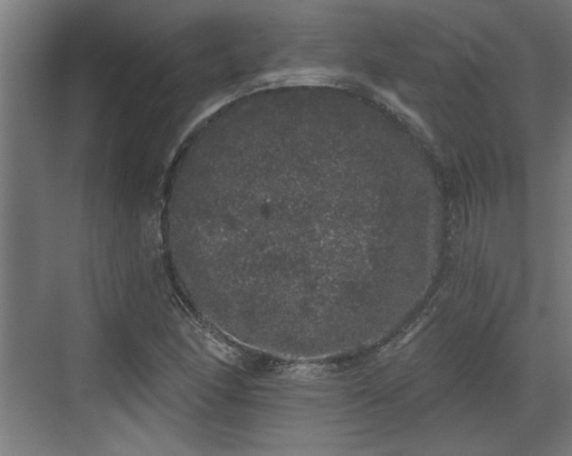 X0000072511166200607211350