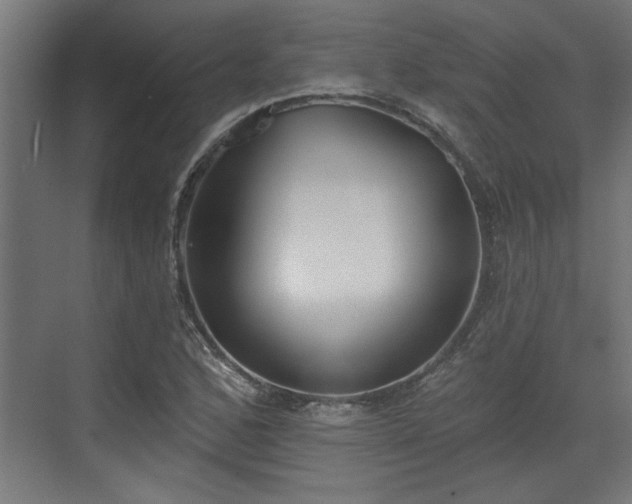 X0000072511168200607211350