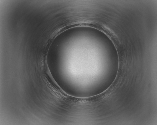 X0000072511169200607211350