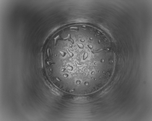 X0000072511171200607211350