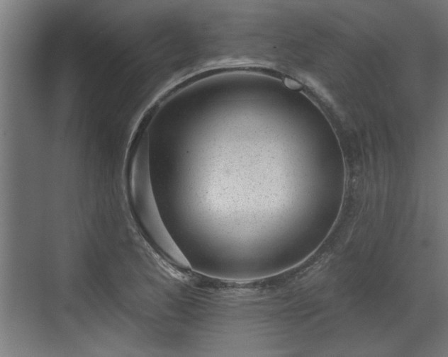 X0000072511173200607211350