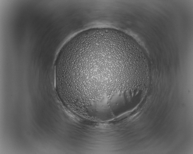 X0000072511175200607211350