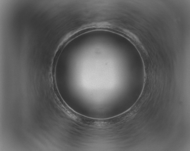 X0000072511176200607211349