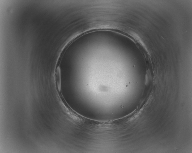 X0000072511181200607211349