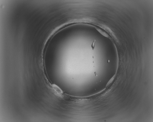 X0000072511184200607211349