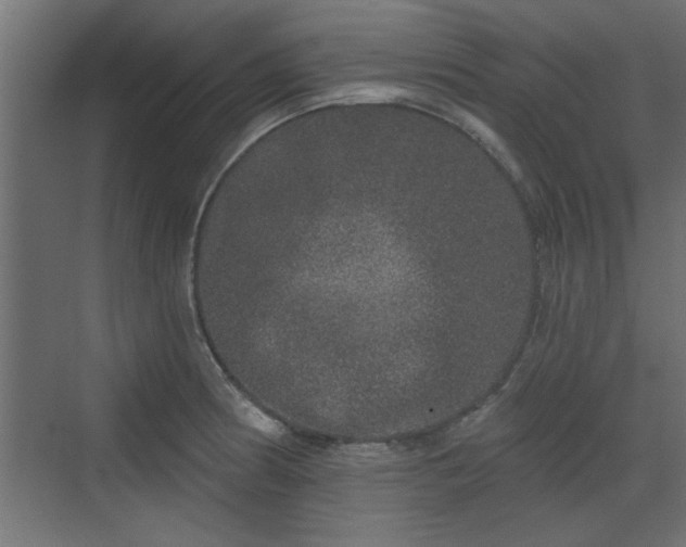 X0000072511186200607211349