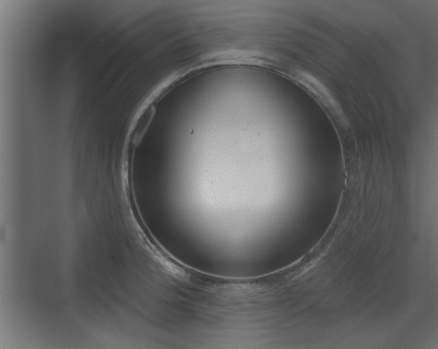 X0000072511188200607211349