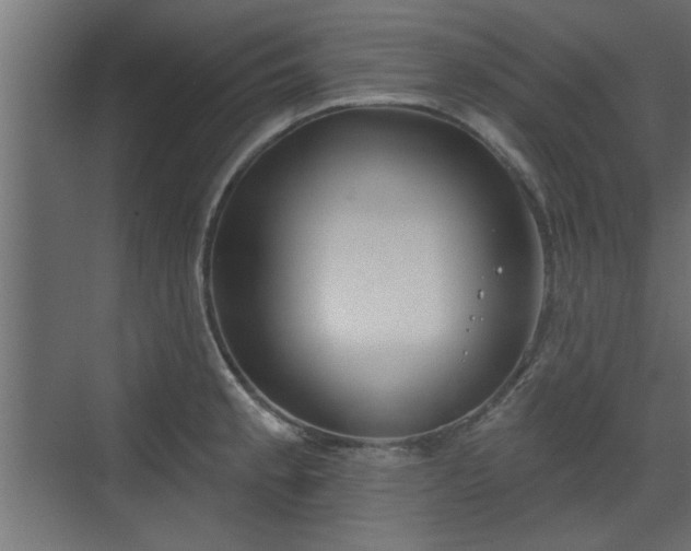 X0000072511189200607211349