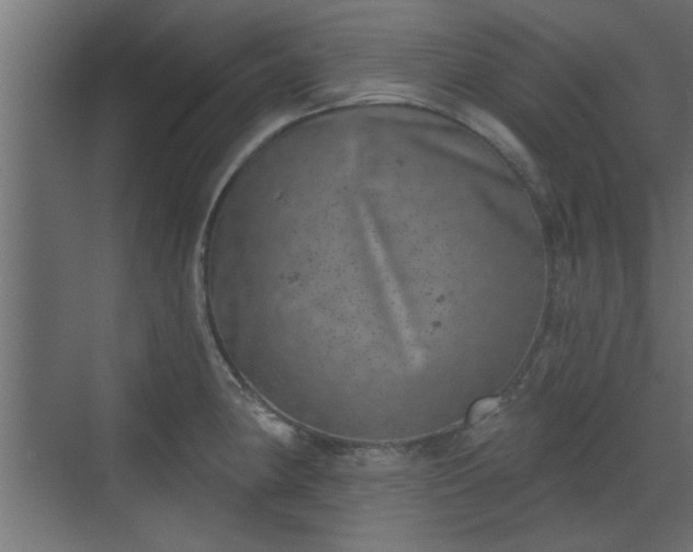 X0000072511190200607211349