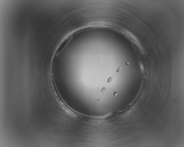 X0000072511192200607211349