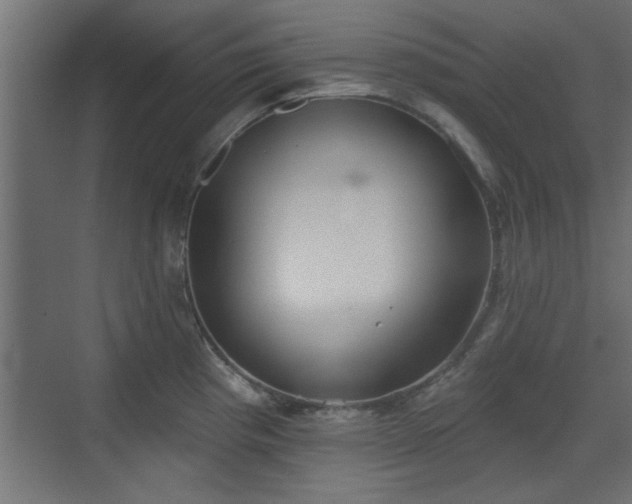 X0000072511193200607211349