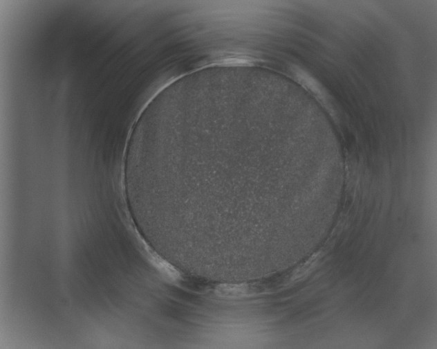 X0000072511194200607211349