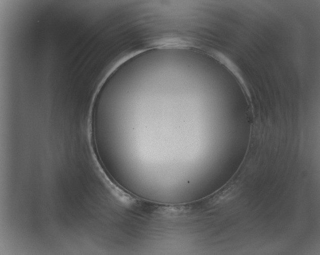 X0000072511195200607211349