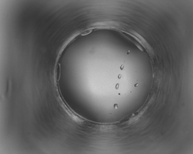 X0000072511196200607211349