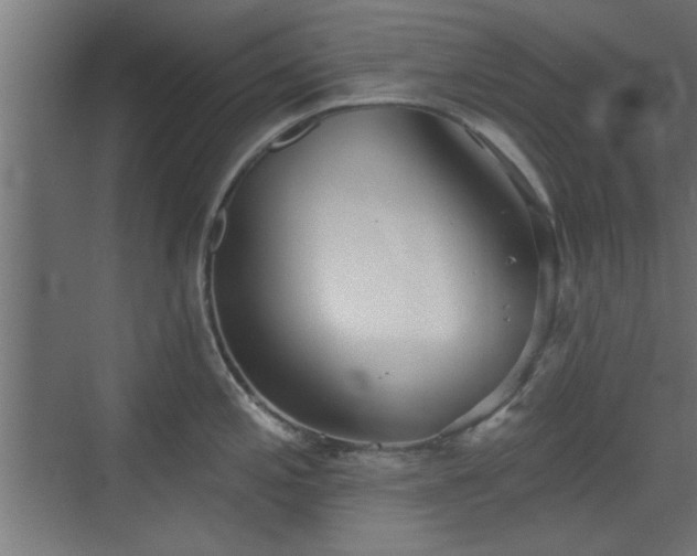 X0000072511197200607211349