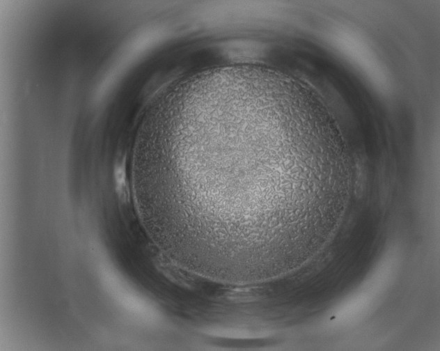 X0000072511198200607211349