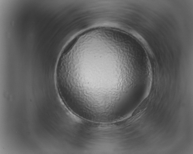 X0000072511199200607211349