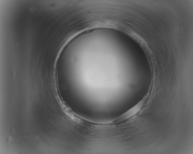 X0000072511200200607211349