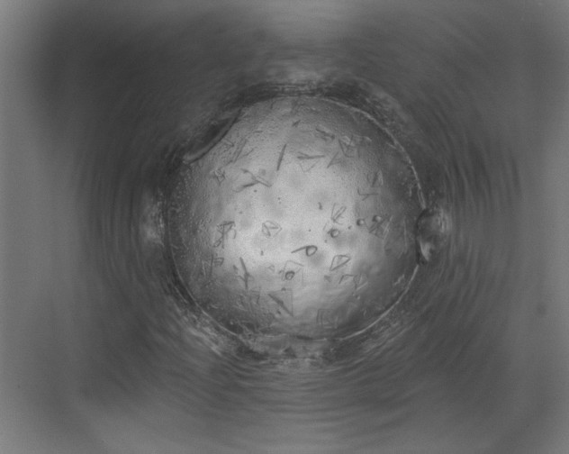 X0000072511204200607211348