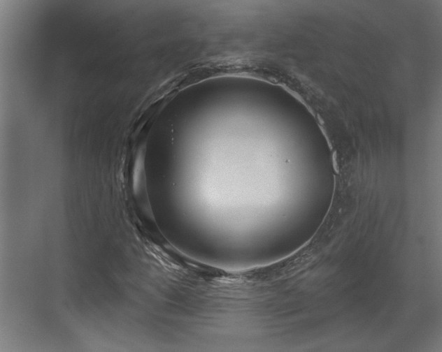 X0000072511206200607211348