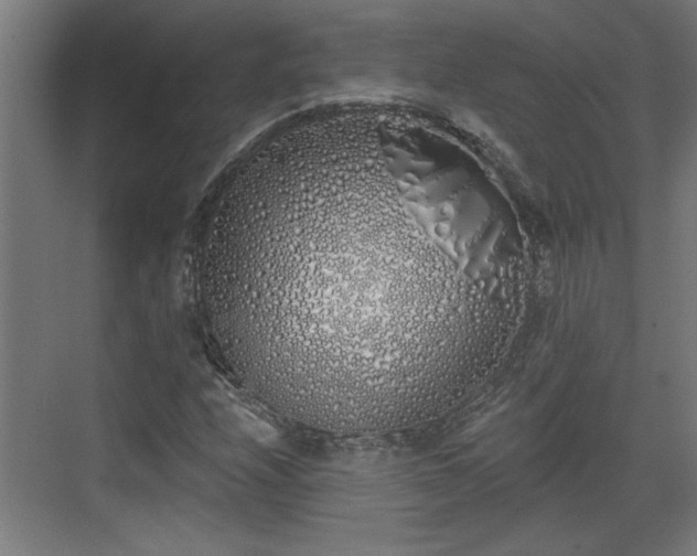 X0000072511208200607211348