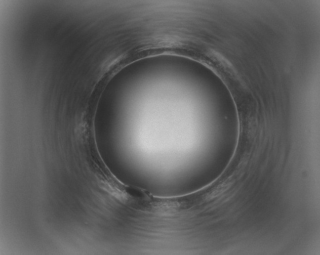 X0000072511210200607211348