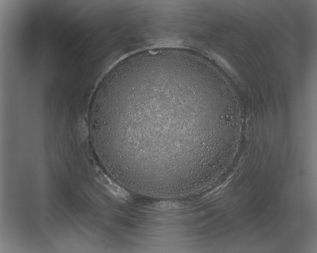 X0000072511212200607211348