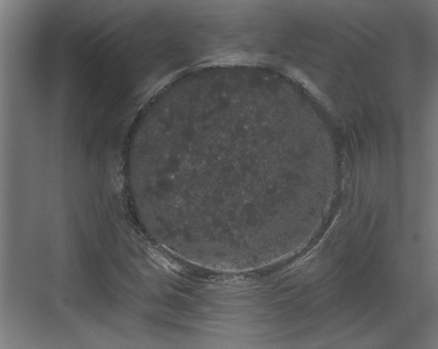 X0000072511213200607211348