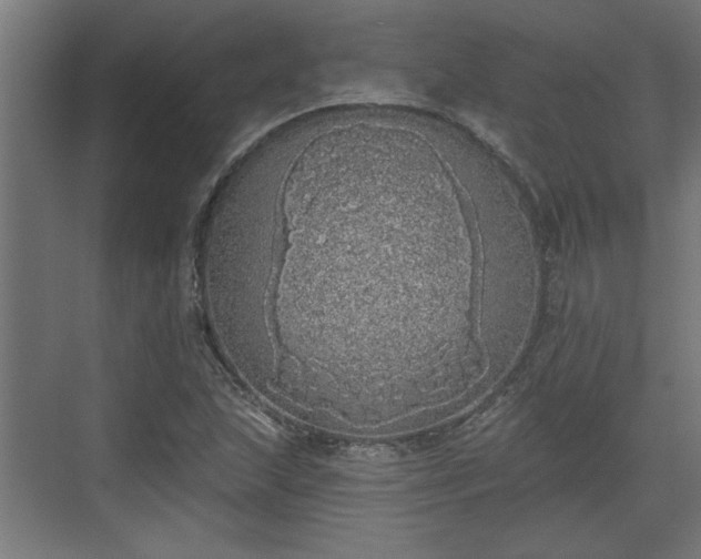 X0000072511215200607211349