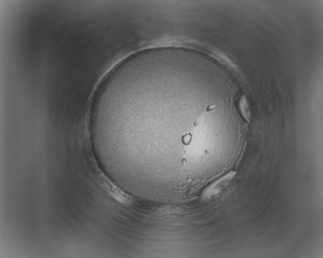 X0000072511216200607211349