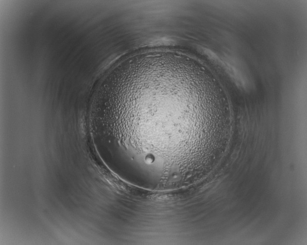 X0000072511217200607211349