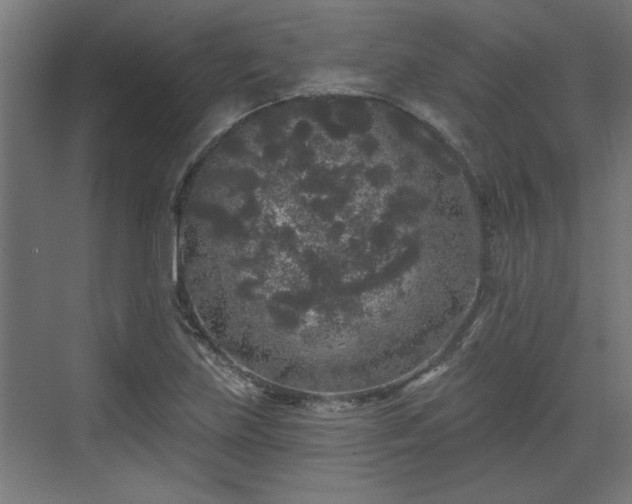 X0000072511219200607211349