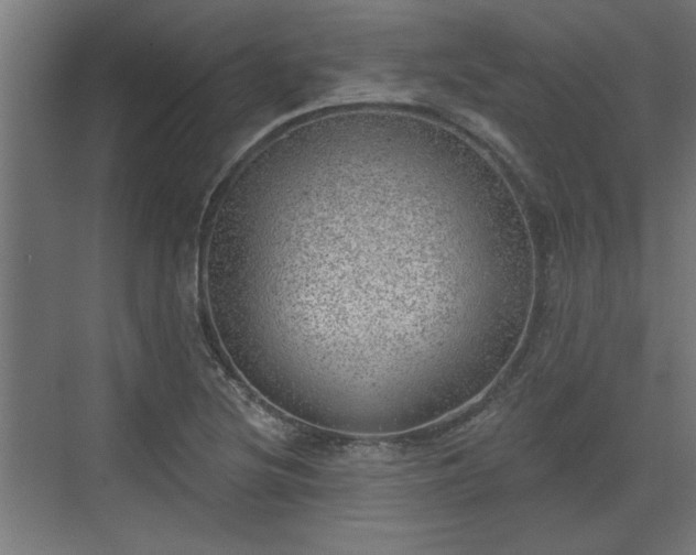 X0000072511220200607211349